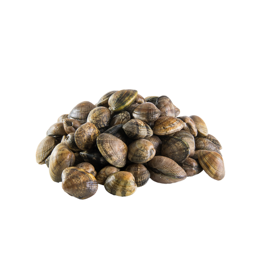 1KG Vongole Verace