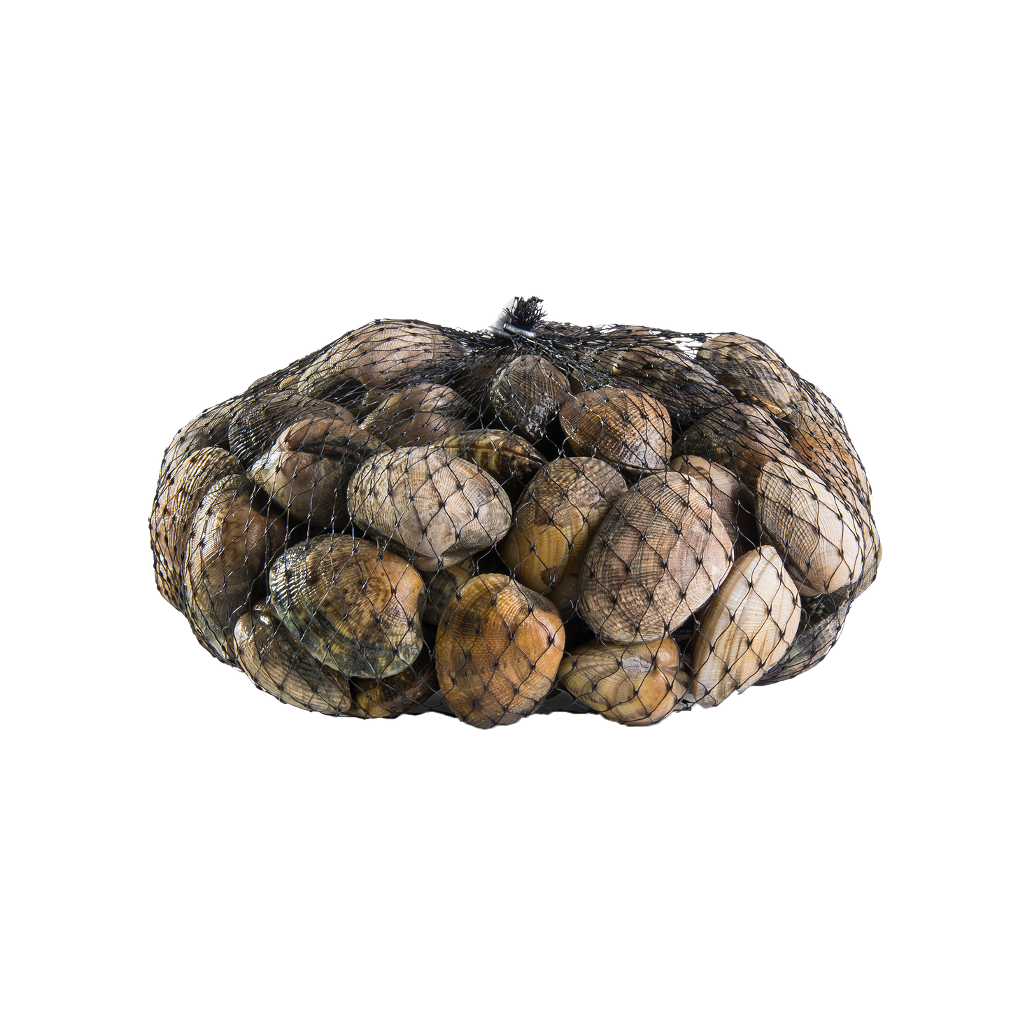 1KG Vongole Verace