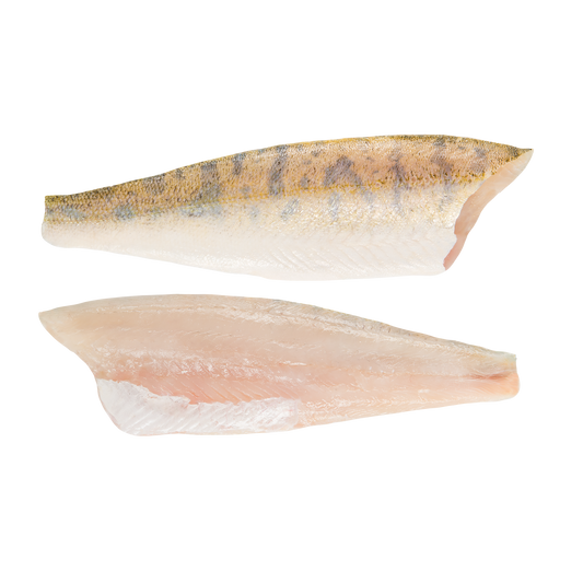 Zander Filet mit Haut