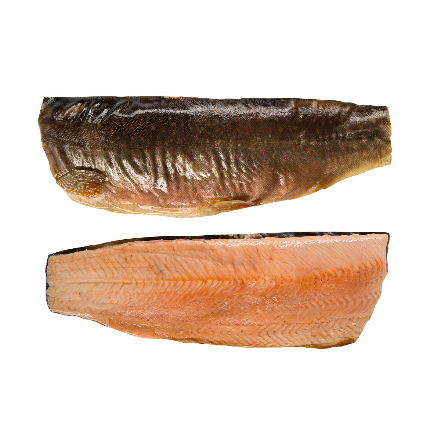 Geräuchertes Saiblingsfilet