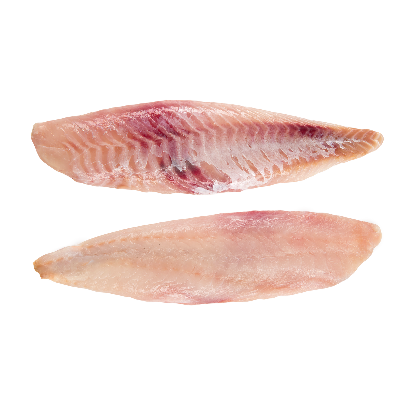 Goldbarsch Filet ohne Haut