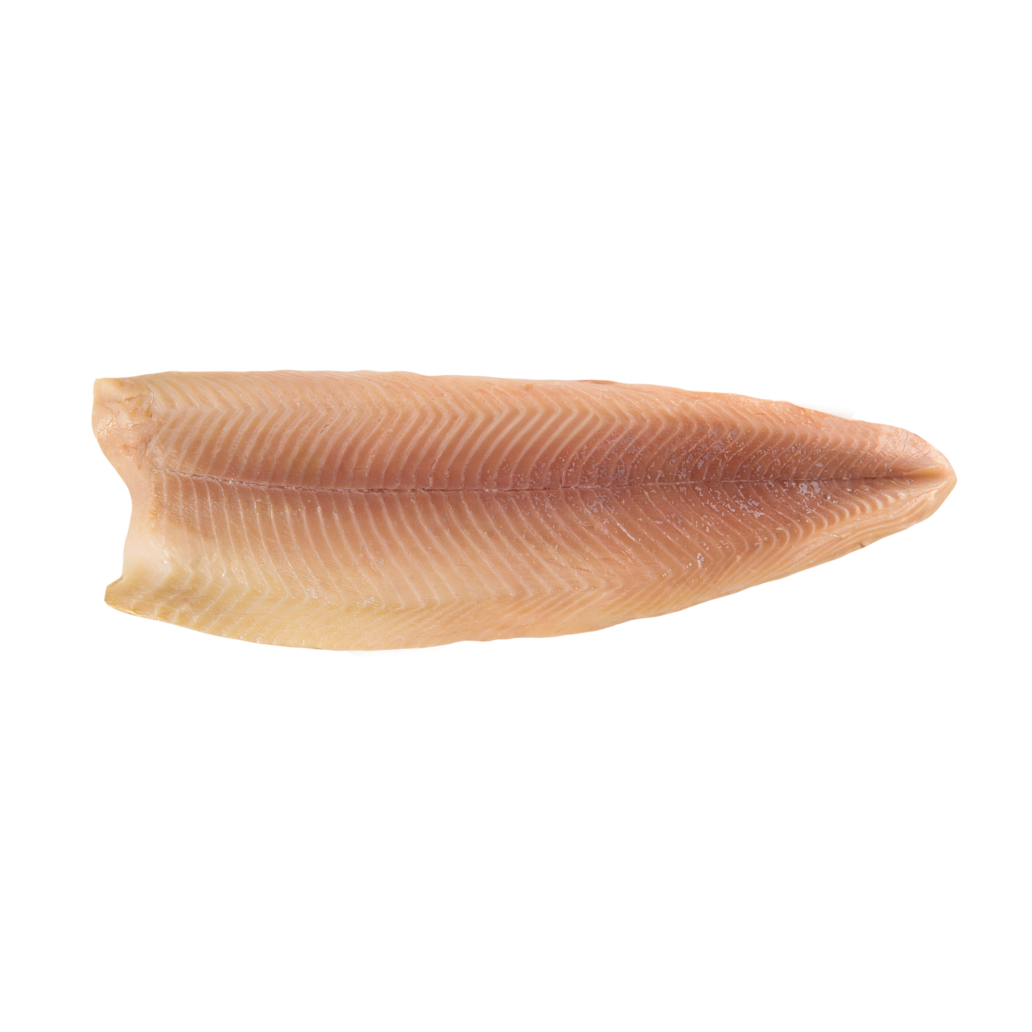 Geräuchertes Forellenfilet