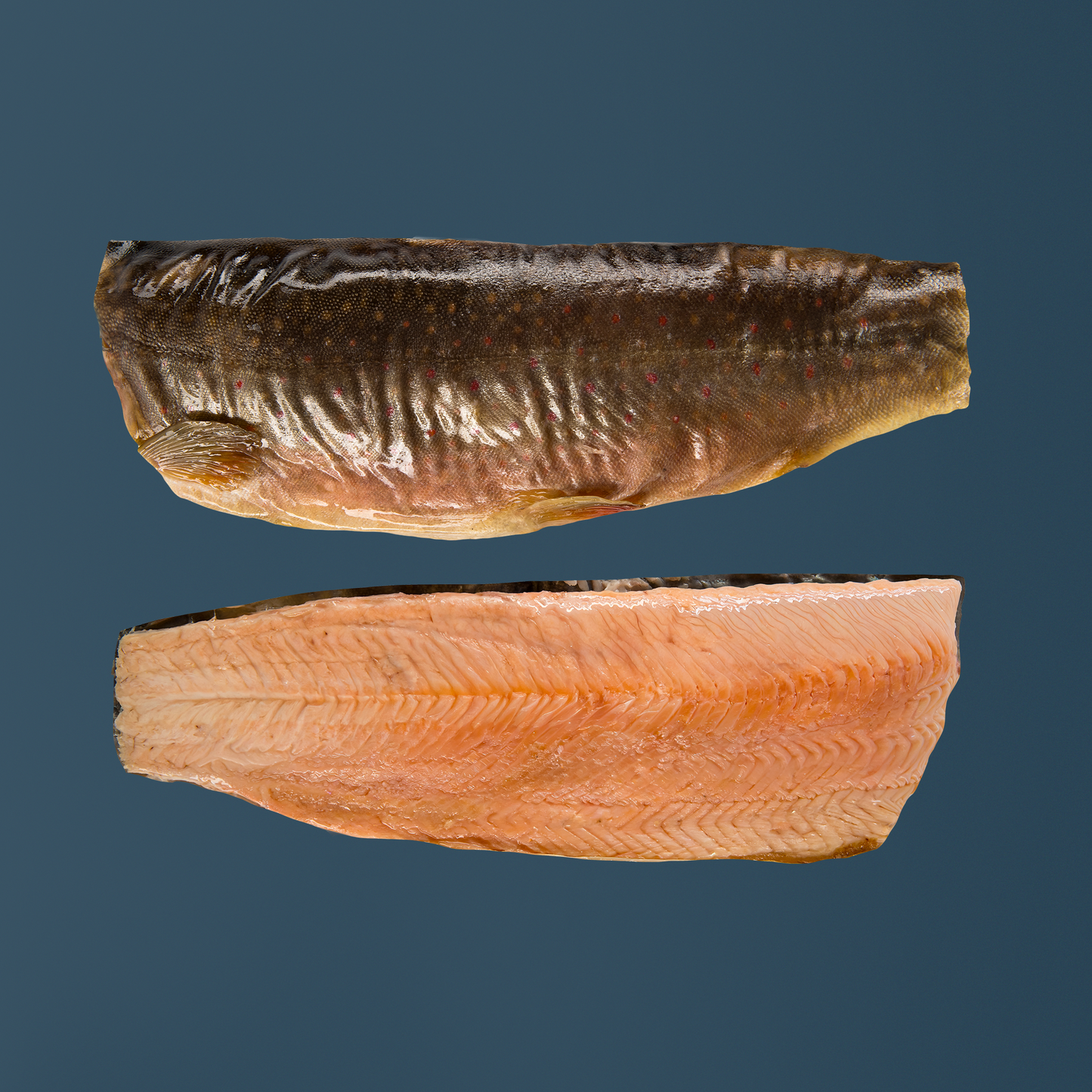 Geräuchertes Saiblingsfilet