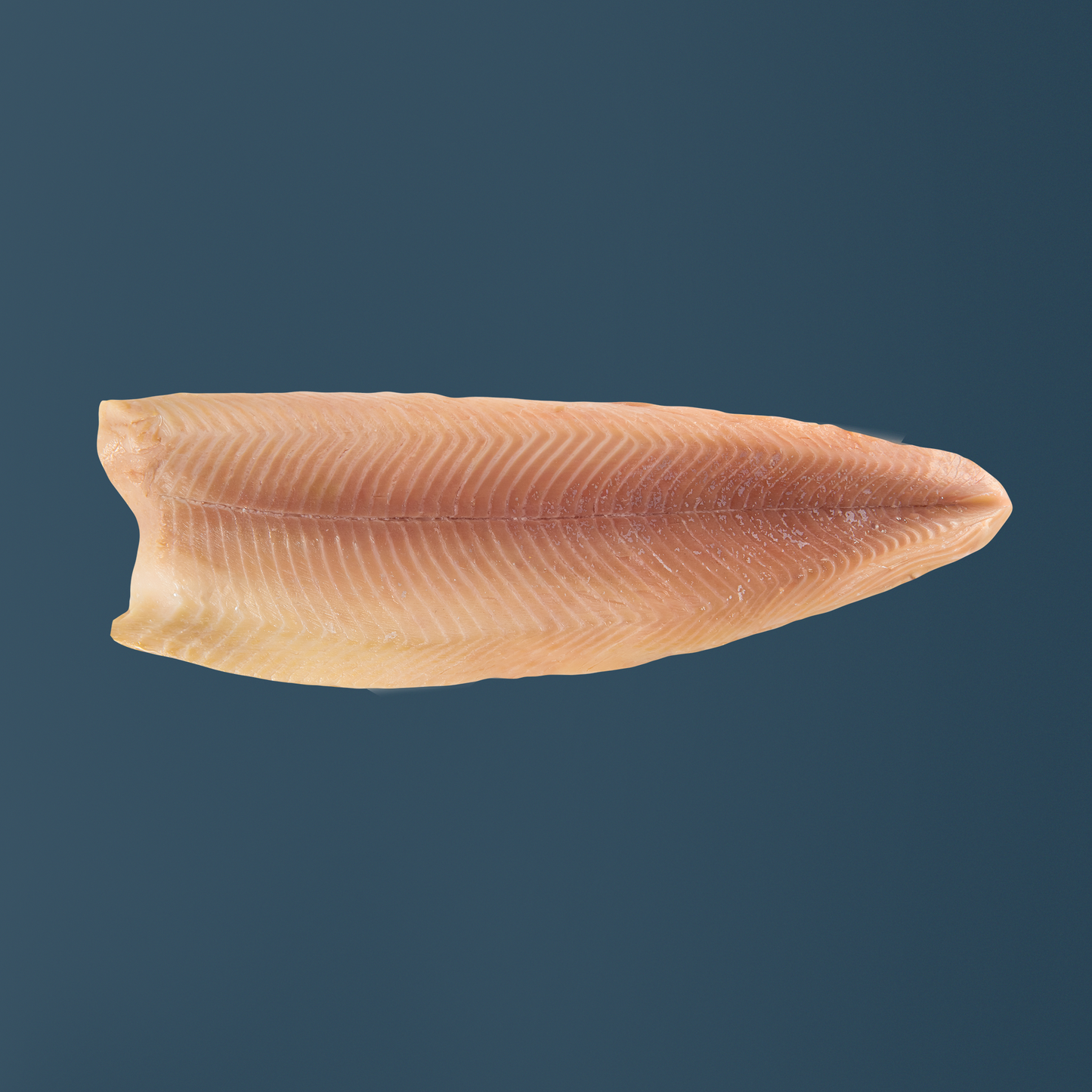 Geräuchertes Forellenfilet